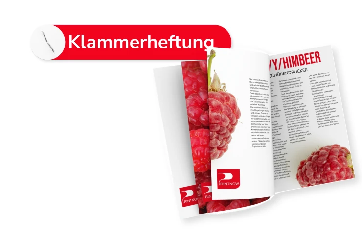 Klammergeheftet/Ringösen