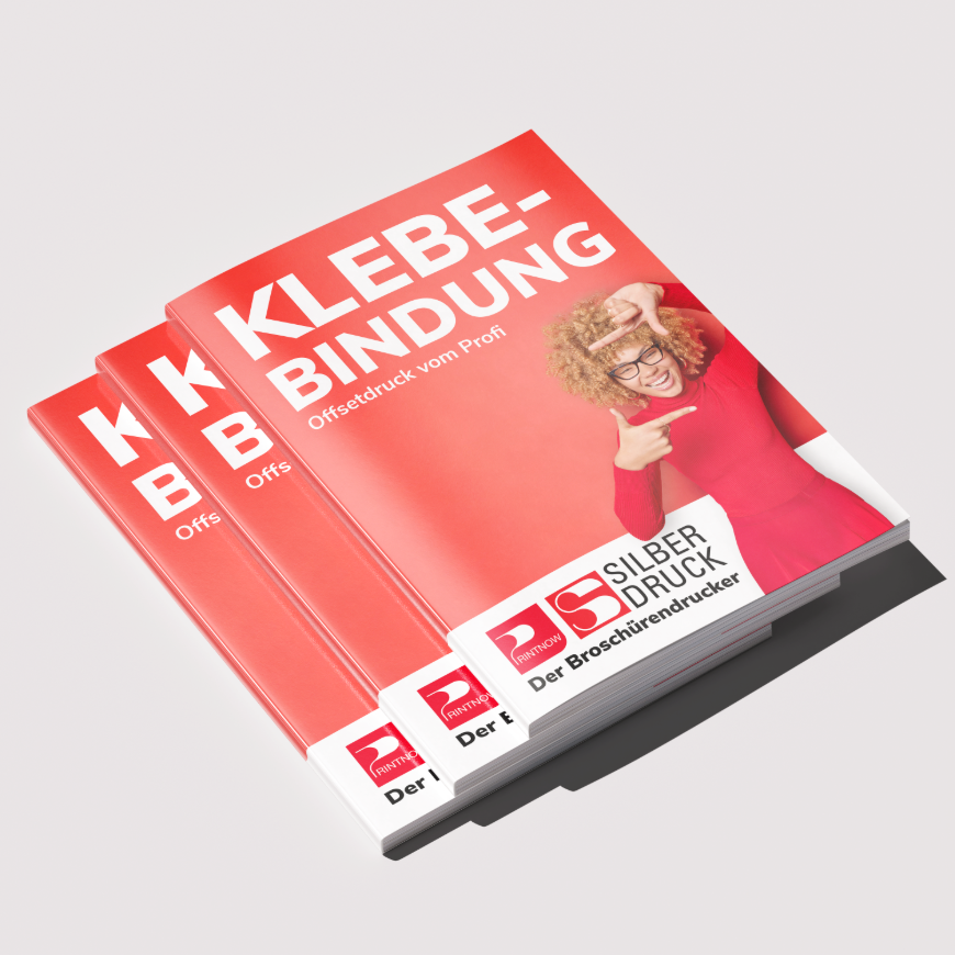 Broschüre klebegebunden, 21,0 x 28,0, Umschlag 4-seitig, 156 Seiten Inhalt